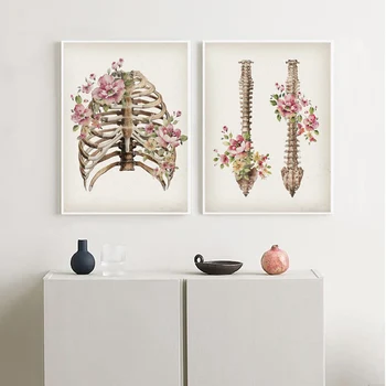 Blomster Skelet Knogler Anatomi Plakat Kraniet, Rygsøjlen Medicinsk Væg Kunst Print-Kanvas At Male Abstrakt Billede Klinik Hjem Dekoration