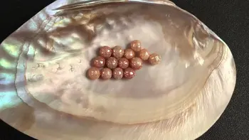 Fabrikken sælger 10-11mm ferskvand Fersken skære tahitian perler i løs pearl