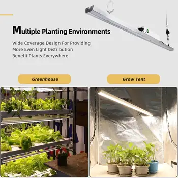 Quantum LED Grow Light Bar hele Spektret Samsung LM301B 100W 300W 3500K Plante, der Vokser Lampe Til Indendørs Drivhus Planter Vækst