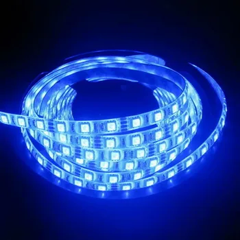 Gratis forsendelse LED Strip 5050 fiexible lys 60Led/m,5m 300Led,DC 12V,Hvid/Varm Hvid/Rød/Grøn,Blå/ RGB-farve