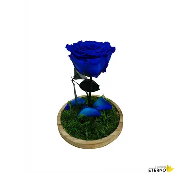 Dome Skønheden og Udyret Evige Rose bevarede mørke blå