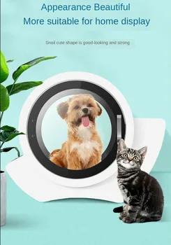 Automatisk Pet Tørretumbler Pet Tørring Kat Og Hund Vandet, Blæser Maskinen Pet Rengøringsmateriel