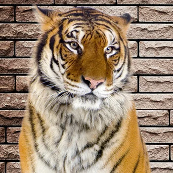 Brugerdefineret Vægmaleri Baggrund Ikke-vævet 3D Tiger Indgangen Gangen Baggrund Værelse Dekoration Malerier Til stuen Wall Paper Udsmykning
