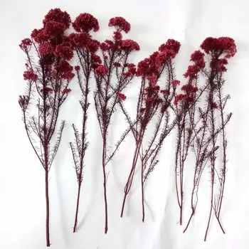 Naturligt Konserveret Ris Blomst, Helichrysum, Mini Virkelige Buket Blomster,Bryllup Indretning, Centerpieces,Blomster Arrangement 22