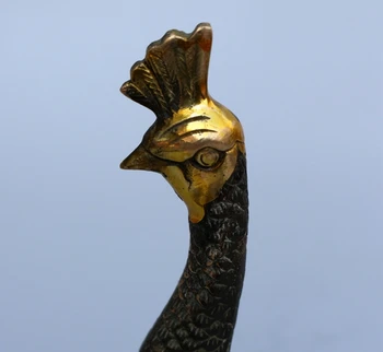 Chinese old Copper gilding Peacock copper statue