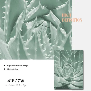 Saftige Botanical Cactus Lærred Plakater Nordisk Kunst Dekorativt Print Væggen Maleri, Dekoration Billeder Moderne Stue Indretning