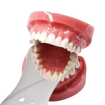 Dental Ortodontisk Reflektor Spejle-side Rustfrit stål Dental Fotografering Spejle Dental Værktøjer Tandpleje