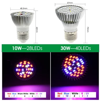 Dual-Hoved E27 Led vækst Lys Med Fleksibel Lampe Holder Klip Full Spectrum LED Plant Grow Light Phytolamp For Hjem Indendørs