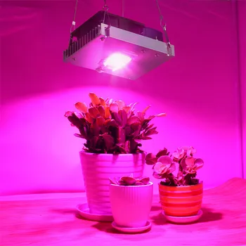 COB LED vækst Lys Fulde Spektrum 100W 150W 3500K Plante Vokse Lampe Til Indendørs Planter, Blomster, Drivhuse, Hydroponics Vokse Telt