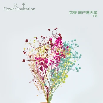 Blomst Invitation Indenlandske mantianxing blomst håndlavet diy limen tørrede blomster materiale blomst plante tre-dimensionel