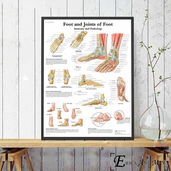 Den Menneskelige Krop, Anatomi System Plakater Og Print På Lærred Male Billeder På Væggen Hospital Diagram Dekorative Hjem Indretning Affiche