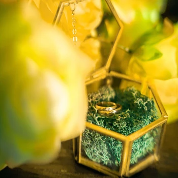 Enkel Moss Smykker Boks - Klar ringbærer Box - Personlig Glas Boks til Bryllup Ring - Retro Ring Indehaveren Box - Bryllup Gave