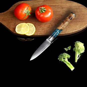 JUNSHNEG 3-tommer multi-funktion skrælle kniv frugt kniv 67 lag Damascus stål klinge harpiks + træ-håndtag nytte kokkens kniv