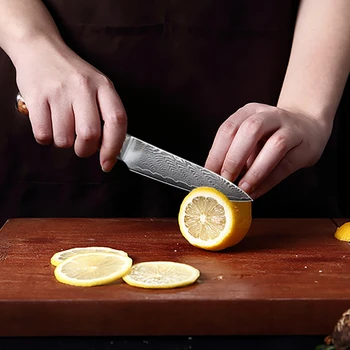 JUNSHNEG 3-tommer multi-funktion skrælle kniv frugt kniv 67 lag Damascus stål klinge harpiks + træ-håndtag nytte kokkens kniv