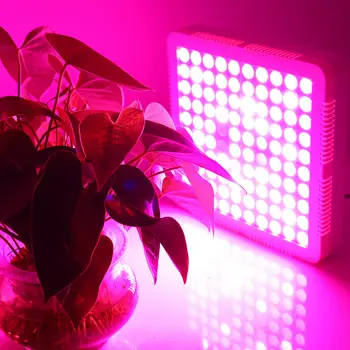 3000W LED vækst Lys, Lygte Panel Hydroponic Voksende Plante Fulde Spektrum For Veg Blomst Indendørs Plante Frø AC85-265V
