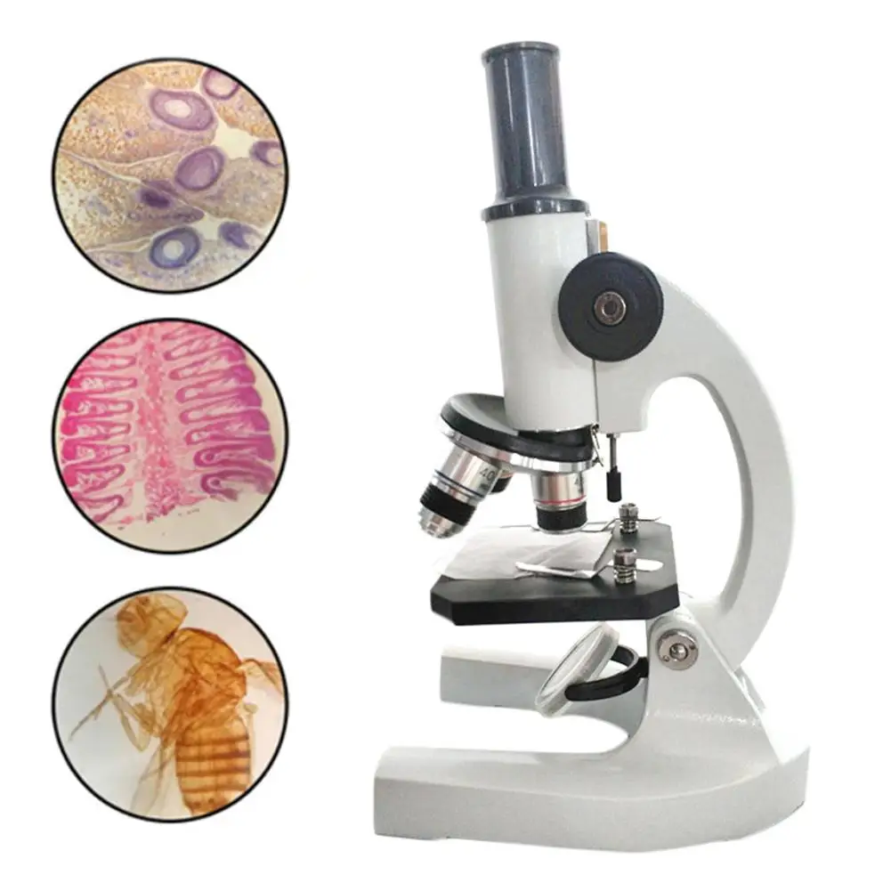 500x Mikroskop Forstørrelse Biologiske School Studerende Uddannelsesmæssige Monokulare Mikroskop Værktøjer køb online Måling Og Analyse Instrumenter > www.bujinkan-vejle.dk